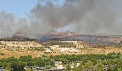 Şanlıurfa&rsquo;da ormanlık alanda korkutan yangın
