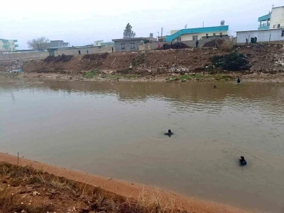 Şanlıurfa&rsquo;da sulama kanalına d&uuml;şen otomobilin s&uuml;r&uuml;c&uuml;s&uuml;n&uuml; arama &ccedil;alışmaları s&uuml;r&uuml;yor
