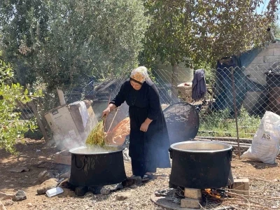 Şanlıurfa’da üzümün pekmez yolculuğu başladı
