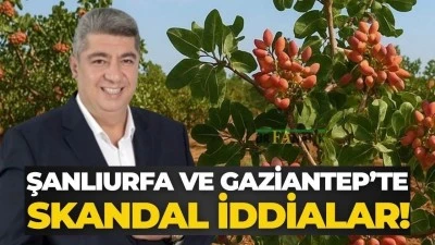 Şanlıurfa ve Gaziantep’te Fıstıkta tefecilik iddası