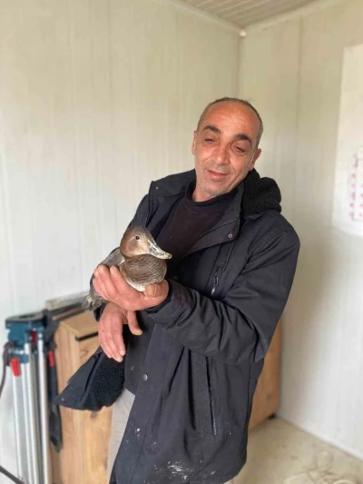 Şantiyede yaralı halde bulduğu &ouml;rdeğe &ccedil;ocuğu gibi baktı
