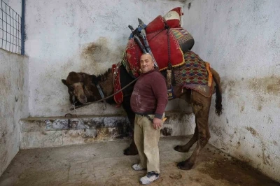 Şap karantinası nedeniyle iptal edilen deve g&uuml;reşleri sekt&ouml;rde sıkıntıya neden oldu

