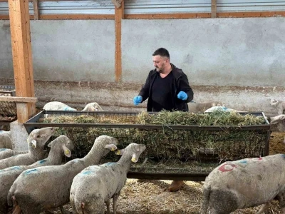 Şap mağduru üreticiler destek bekliyor
