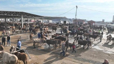 Şap tehlikesi nedeniyle kapatılmıştı, Sorgun Hayvan Pazarı 5 ay sonra yeniden açıldı
