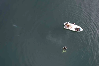 Sapanca Gölü’ndeki endişelendiren kabarcıklar su altından ve havadan görüntülendi

