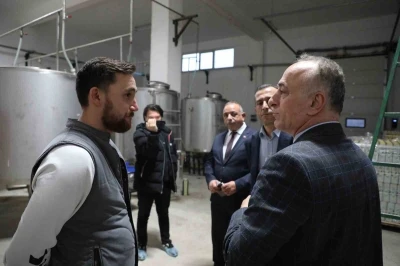 Sarıcakaya&rsquo;da zeytin ve zeytinyağı &uuml;retimi hızla artıyor
