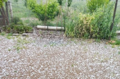 Sarıg&ouml;l&rsquo;de bağlar dolu yağışıyla beyaza b&uuml;r&uuml;nd&uuml;
