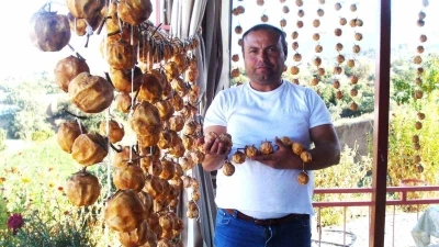 Sarıgöl’de balkonlar cennet elmasıyla renklendi
