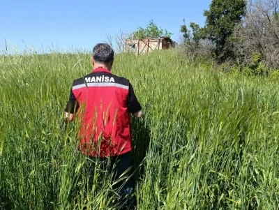 Sarıg&ouml;l&rsquo;de huhubatta verim i&ccedil;in ekipler sahada
