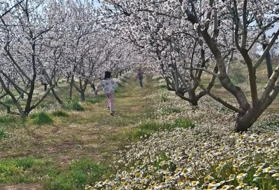 Sarıg&ouml;l&rsquo;de kartpostallık manzara
