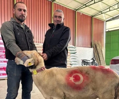 Sarıg&ouml;l&rsquo;de kurbanlık pazarı hareketlendi
