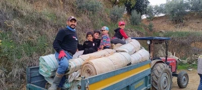 Sarıgöl’de örtü toplama işlerinde yoğunluk
