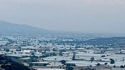 Sarıgöl’de üzüm üretici ihracatın hız kazanmasını bekliyor
