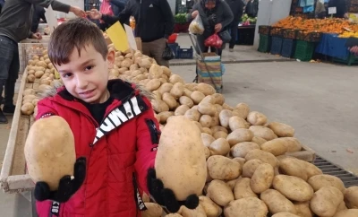 Sarıg&ouml;l pazarında dev patatesler ilgi odağı oldu
