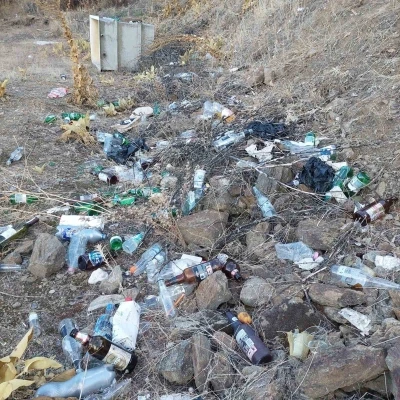 Sarıgöllü çiftçilerden zeytinliğe atılan alkol şişelerine tepki
