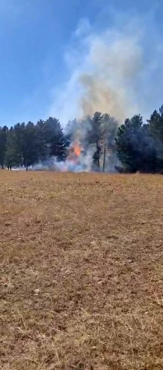 Sarıkamış ormanlarında örtü yangını
