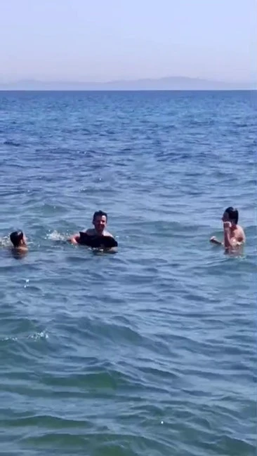 Şark&ouml;y&rsquo;de denize girenlerin arasına yavru yunus daldı: Eğlenceli anlar kamerada
