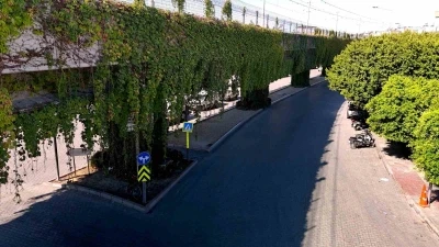 Sarmaşıklarla kaplı metro yolu, görsel şölen oluşturuyor
