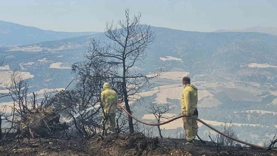 Sarp araziye 2 kilometre hortum çeken ateş savaşçıları yangını söndürdü
