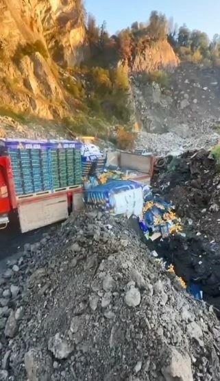 Sarp Sınır Kapısı’nda 6 ton mandalina imha edildi: Zirai ilaç kalıntısı tespit edildi
