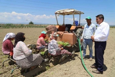 Saruhanlı&rsquo;da t&uuml;t&uuml;n mesaisi başladı
