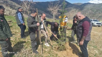 Sason&rsquo;da şehitler anısına fidanlar toprakla buluşturuldu
