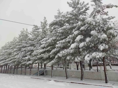 Sason&rsquo;da yoğun kar yağışı hayatı olumsuz etkiliyor

