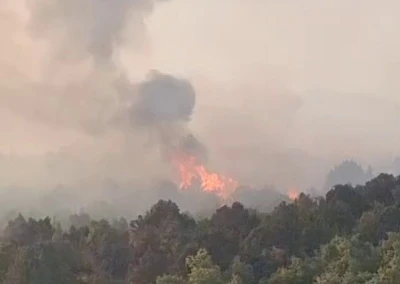Sazlık alanda çıkan yangın ormana sıçradı
