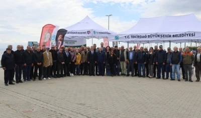 Sebze &uuml;reticilerine yarım milyon fide
