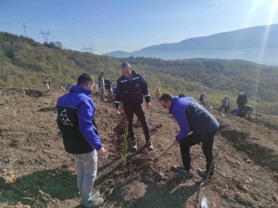 SEDAŞ, 4 ilde 500 fidanı toprakla buluşturdu
