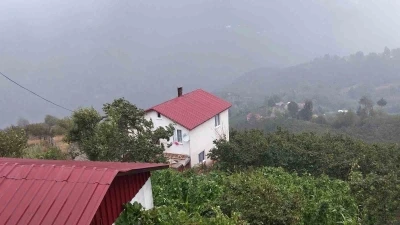 Şehir sıcaktan kavruldu, yaylada yağmur serinletti
