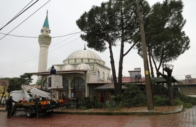 Şehzadeler Belediyesi&rsquo;nin budadığı dallar ihtiya&ccedil; sahiplerinin ocağını ısıtıyor
