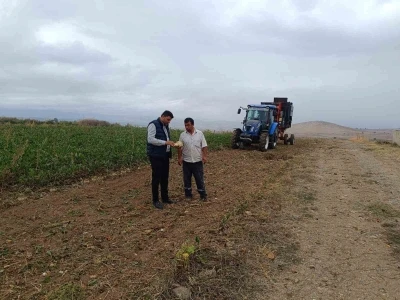 Şeker pancarı hasadı başladı
