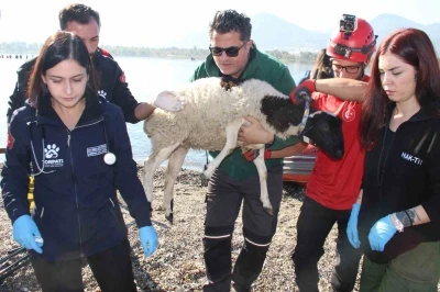 Sel felaketi riski taşıyan İzmir’de AFAD’dan tatbikat
