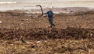 Sel sonrası deniz kahverengi oldu, sahiller odun doldu
