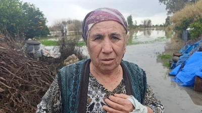 Selde mahsur kalan k&ouml;peği AKOM ekipleri kurtardı
