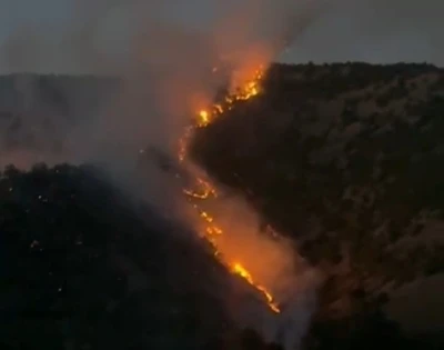 Şemdinli’de ormanlık alanda korkutan yangın
