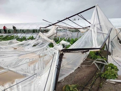 Seydikemer&rsquo;de hortumun vurduğu seralarda hasar tespit &ccedil;alışmaları başladı
