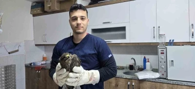 Seydikemer&rsquo;de yaralı şahin tedavi altına alındı

