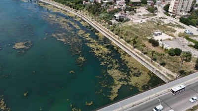 Seyhan Nehri kirliliğe teslim oldu, g&ouml;n&uuml;ll&uuml; gen&ccedil; sandalla temizliğe &ccedil;ıktı
