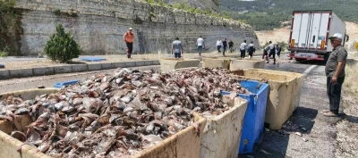 Seyir halindeki tırın dorsesi patladı, 15 ton balık atığı yola sa&ccedil;ıldı
