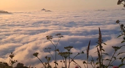Seyrine doyum olmayan ’Bulut Denizi’ görenleri kendine hayran bırakıyor
