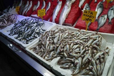 Sezonun ilk balıkları tezgahlarda
