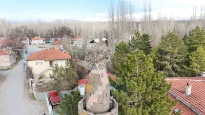 Şıhbarak mahallesinde baharın m&uuml;jdecisi leylekler yuvalarına d&ouml;nd&uuml;
