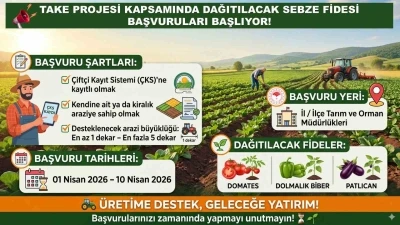 Siirt Tarım ve Orman M&uuml;d&uuml;rl&uuml;ğ&uuml;nden sebze fidesi başvurusu uyarısı
