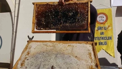 Siirt’te arıcılara 41 milyon 436 bin liralık destek
