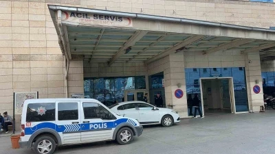 Siirt’te Canlı Hayvan Borsası’nda silahlı ve sopalı kavga: 5 yaralı
