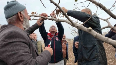Siirt’te fıstık üreticilerine teorik ve pratik ‘budama’ ile ‘gübreleme’ eğitimi
