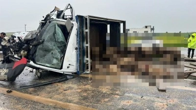 Siirt'te koyun y&uuml;kl&uuml; kamyonet ile otomobil &ccedil;arpıştı: 2 &ouml;l&uuml;, 3 yaralı