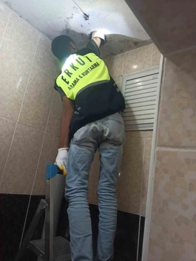 Siirt&rsquo;te lavabo borusuna sıkışan yavru kedi kurtarıldı
